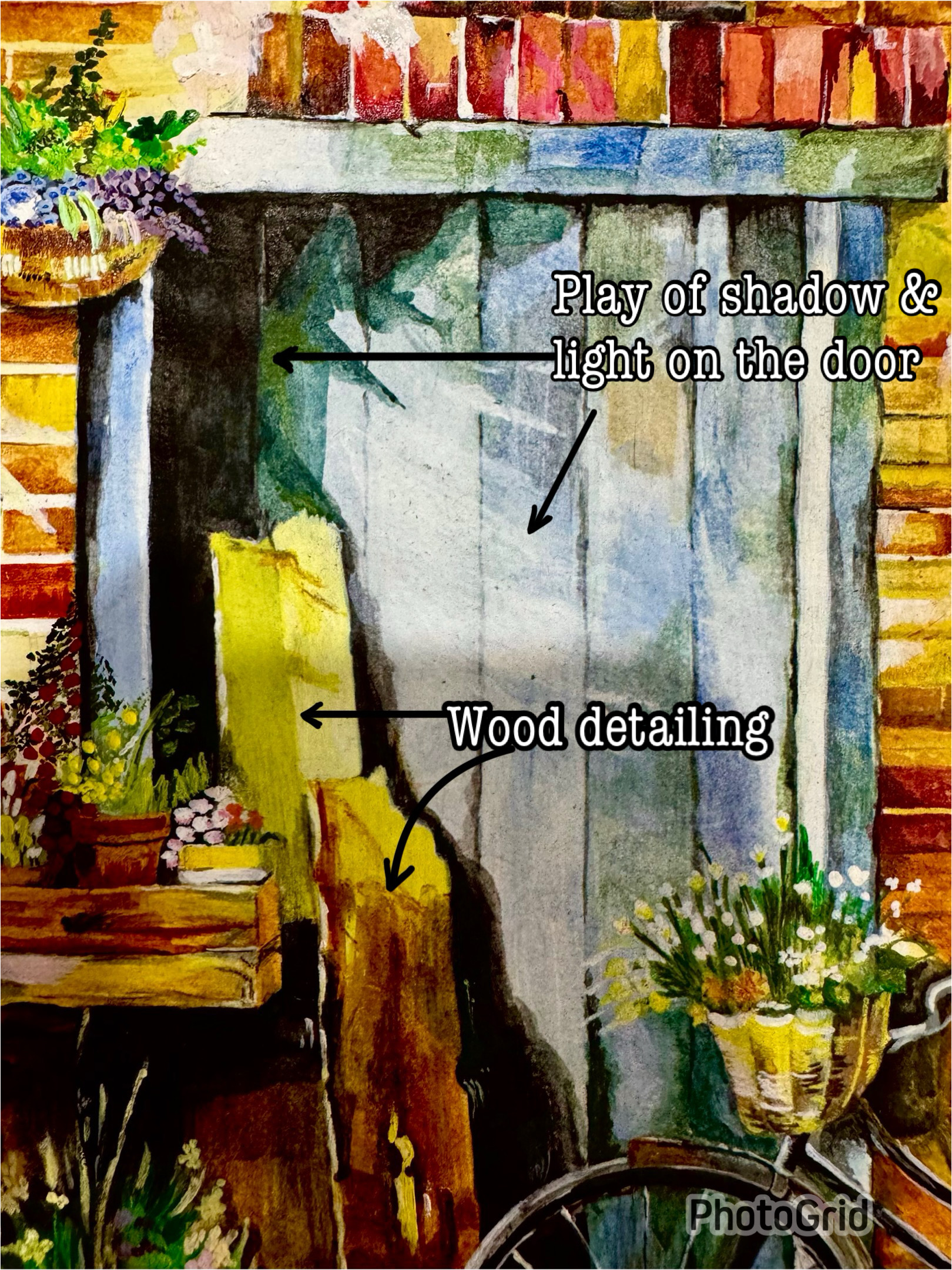 Flowers by the doorstep